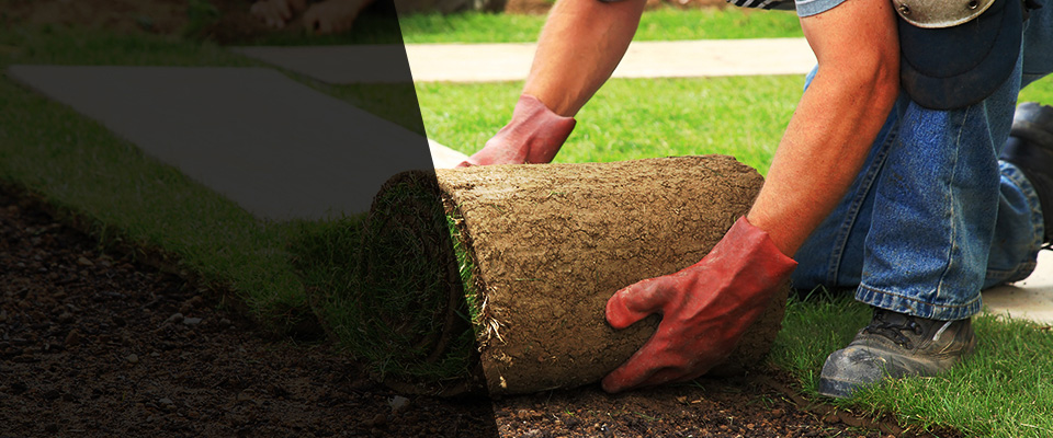 Mukilteo Landscapers